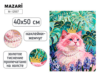 Картина для раскрашивания по номерам 40х50 КОШКА. М-12557